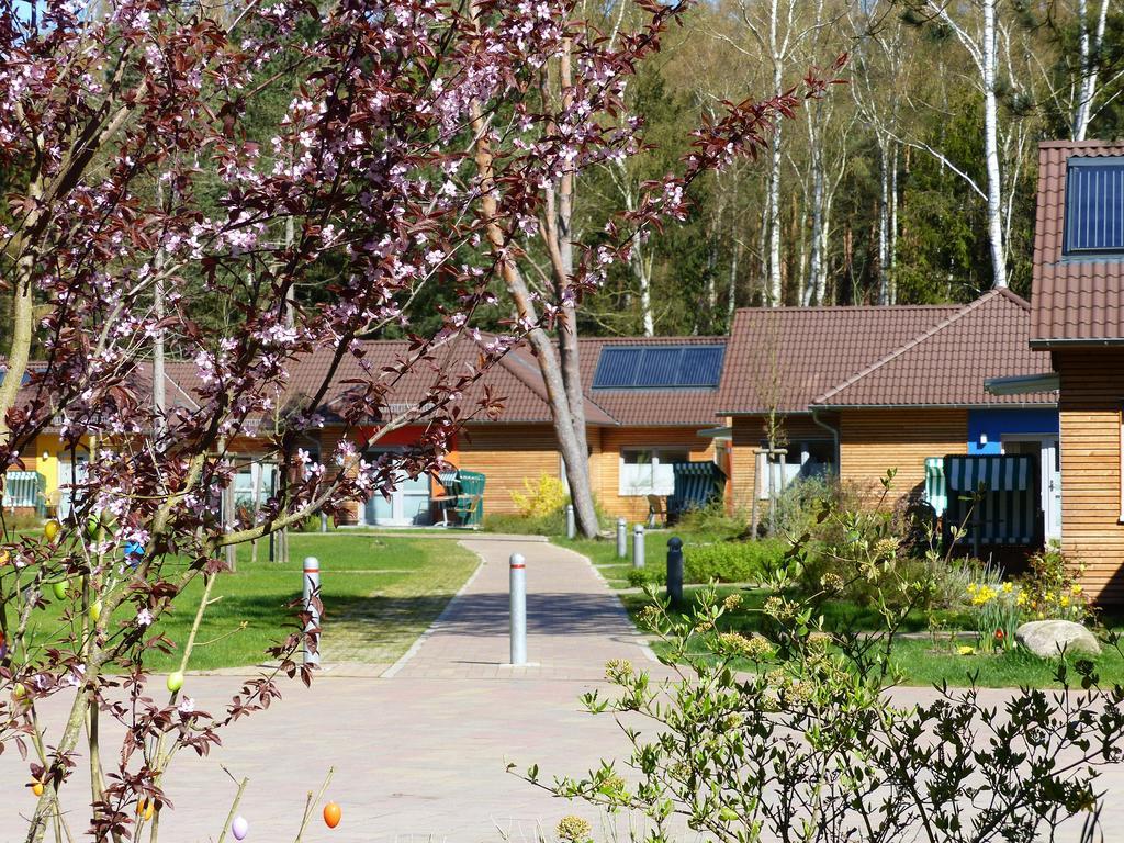 Ferienzentrum Trassenmoor Trassenheide Zimmer foto